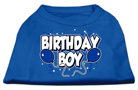 Birthday Boy Screen Print Shirts Blue XS